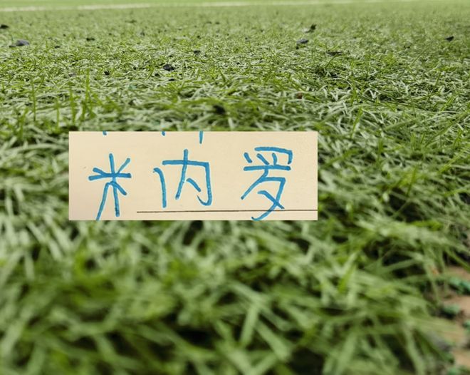 11号米内罗又更新训练照片 去年他可是14场联赛斩获8个球申花米神