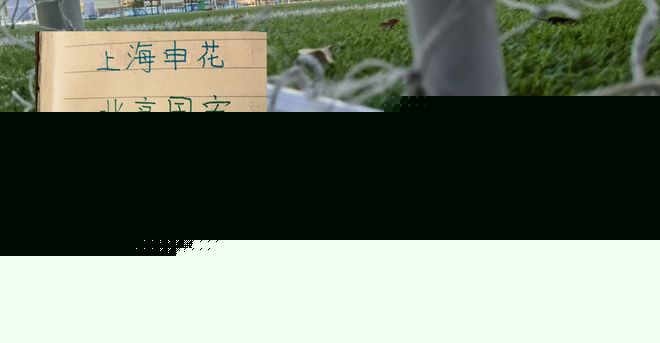 参加亚冠三大队老将 申花有吴曦 北京国安有张稀哲 海港有颜骏凌